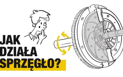 Sprzęgło: do czego służy, jak działa i jak o nie dbać? Poradnik eksperta