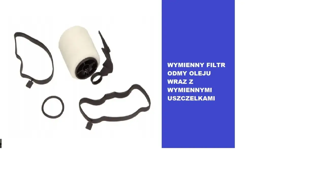 Zestaw do wymiany filtra odmy olejowej: biały filtr i czarne uszczelki.